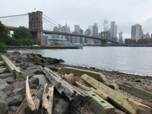 Image of the bridge, river, and NYC skyline