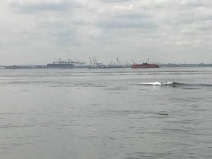 The waters of the NY harbour with New Jersey far in the distance.